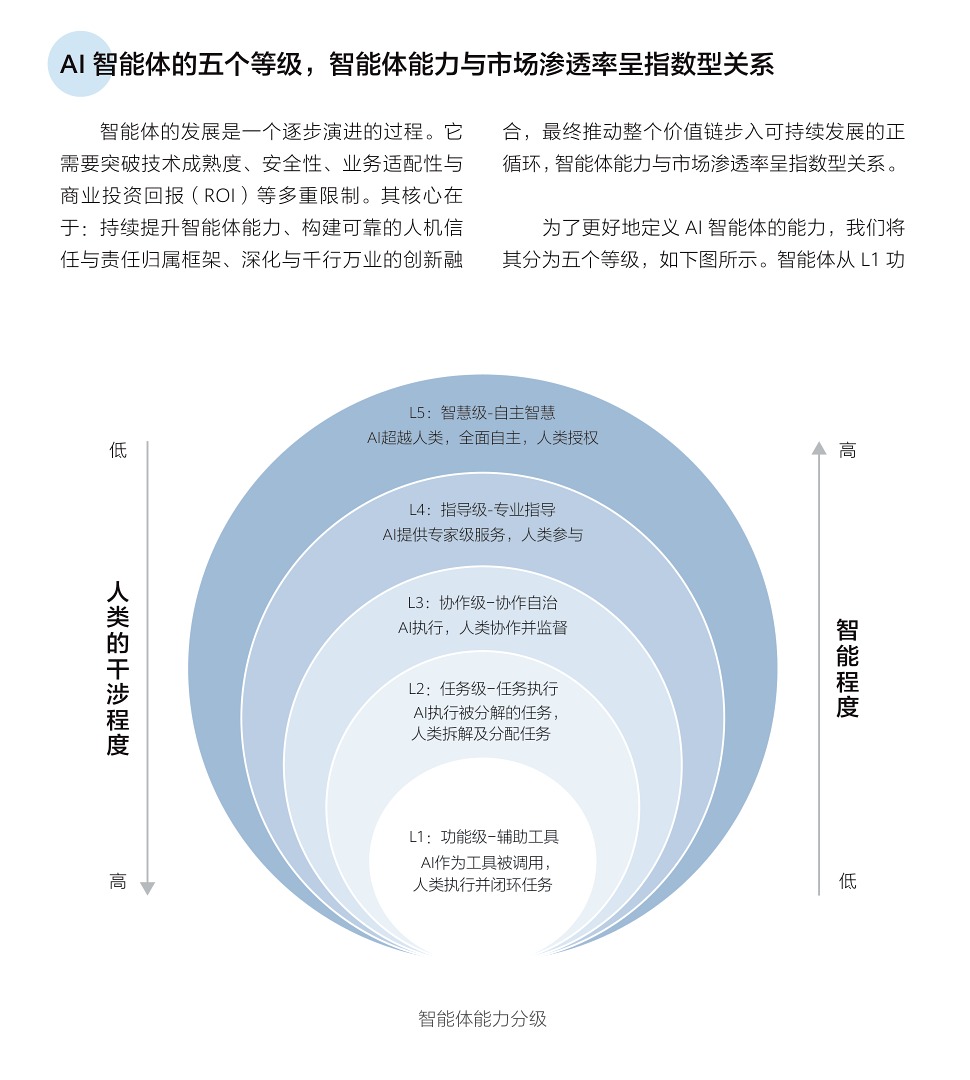 智能体五级